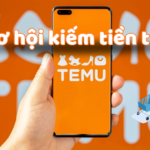 kiem tien tu temu thumbnail